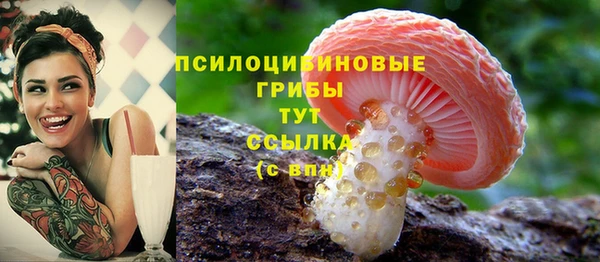 МДПВ Дмитров