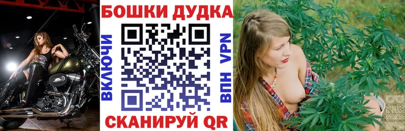 Купить  Навашино  Марихуана планчик 